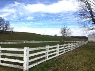 Property photo 4 - LAND & EQUIPMENT AUCTION - 241+/- ACRES OFFERED IN 7 TRACTS IN JACKSON COUNTY, OHIO